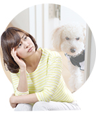 ペットの見守り