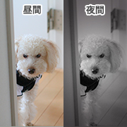 赤外線暗視機能
