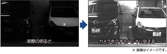 赤外線比較イメージ
