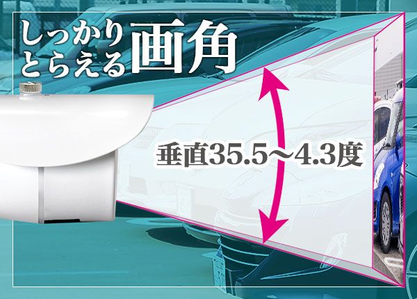 しっかりとらえる画角