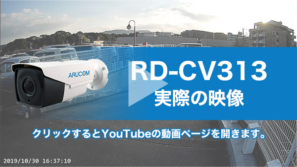 実際の映像