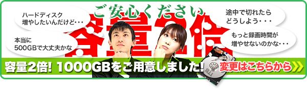 ハードディスクはプラス1万円で1000GBに変更できます
