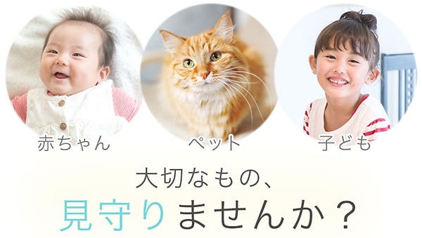 見守りませんか?