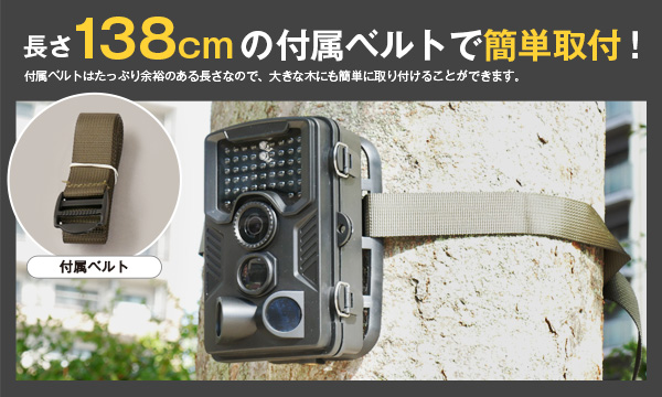 ベルトで簡単取り付け