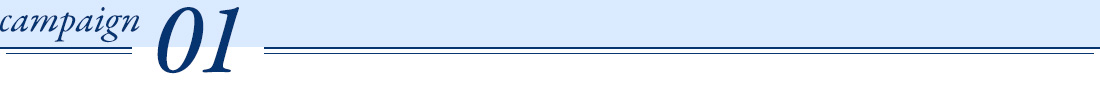 キャンペーン1