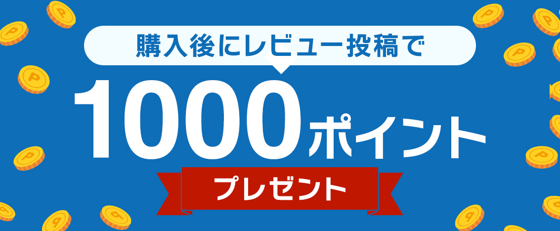 レビュー投稿で1000ポイント