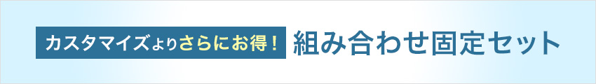 カスタマイズセットよりお得な固定IPセット