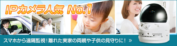 アルコムのネットワークカメラ