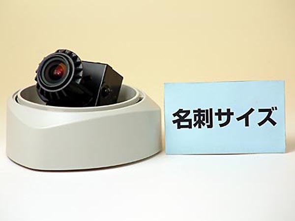 RD-3-48広角対応カラードーム防犯カメラ