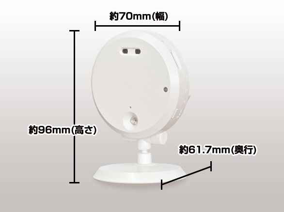 RD-4565スマ-トフォン対応赤外線搭載簡単IP小型ネットワ-クカメラ