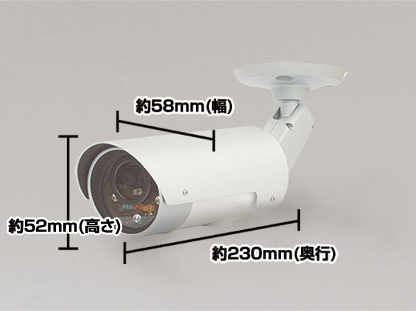 RD-45-0スマ-トフォン対応赤外線搭載簡単IP屋外ネットワ-クカメラ