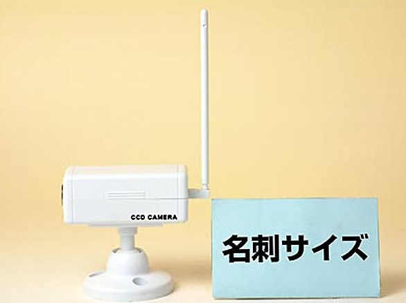 RD-2923CCD防犯ダミーカメラ