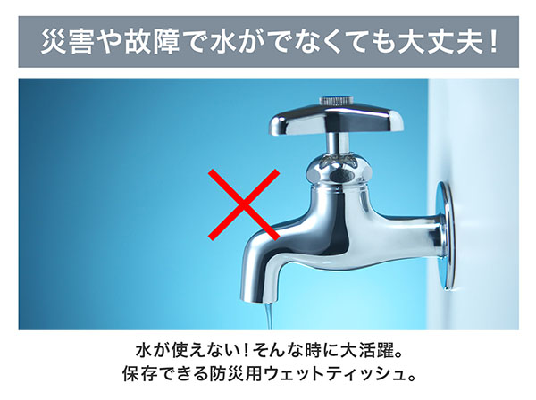 KO402 10年保存できる 防災用ウェットティッシュ 20枚入り×5個 RABLISS