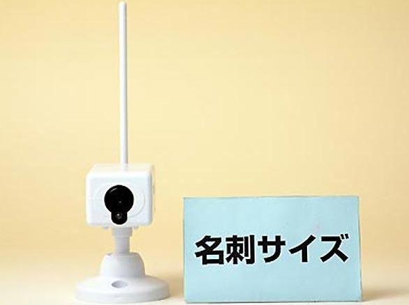 RD-2923CCD防犯ダミーカメラ