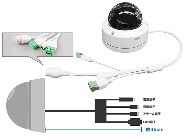 RD-CI462M 夜間カラー撮影 屋外防滴PoE対応ドーム型ネットワークカメラ