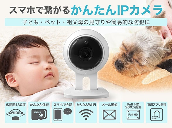 置き型簡単IPネットワークカメラ 屋内用 【RD-7320/SNH-C6417BN】