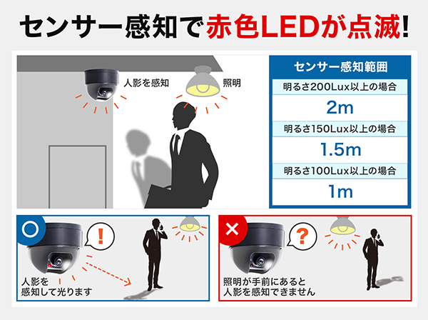 ダミーカメラ ドーム型 屋内・屋外軒下用 RD-2931