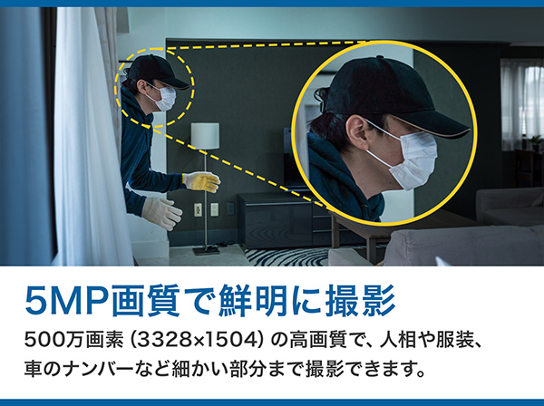 RD-CV513SMC 500万画素 屋外防水 180度撮影 アナログHD パノラマカメラ