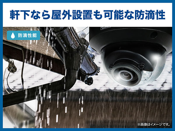 RD-CI462M-B 夜間カラー撮影 屋外防滴PoE対応ドーム型ネットワークカメラ 黒 ブラック