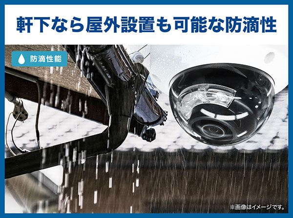 RD-CI462M 夜間カラー撮影 屋外防滴PoE対応ドーム型ネットワークカメラ
