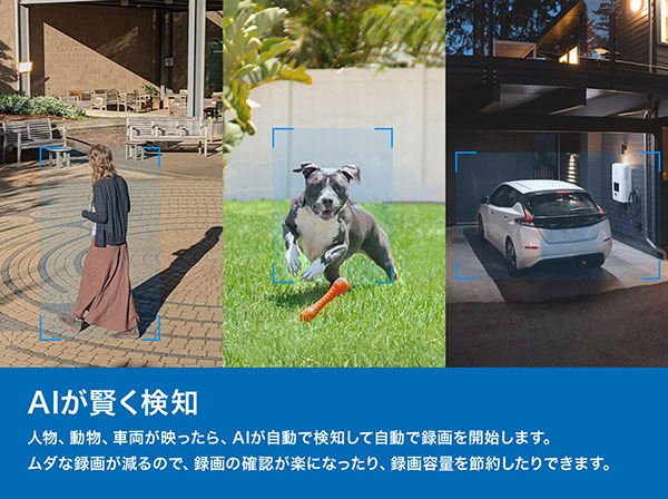 Tapo C520WS 屋外パンチルト セキュリティWi-Fiカメラ