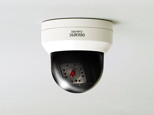 RD-2850 ダミーカメラ 防犯カメラ LED付 ドーム型