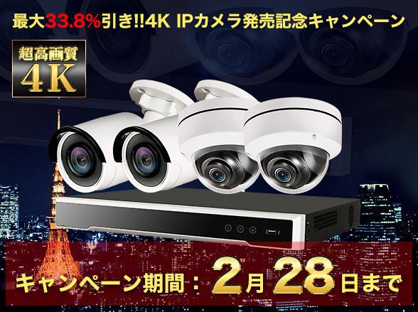 SET650 4K IPネットワークカメラ選べる1~16台セット