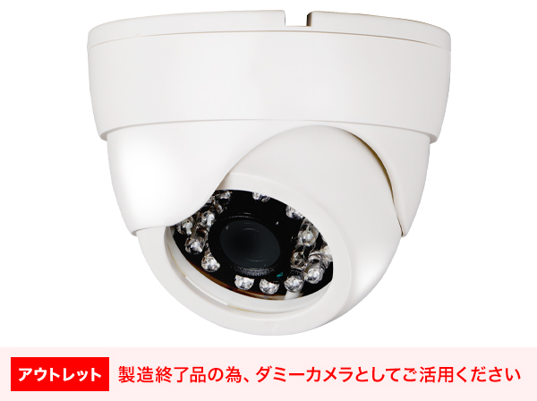 RD-4581Z	ドーム型ダミーカメラ