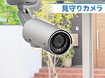 簡単IPネットワークカメラ 屋外用【RD-4750】