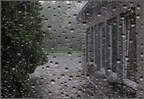 親水コート無しの雨天時の映像
