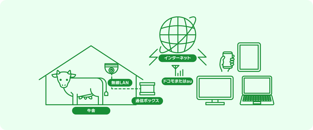 牛の映像を遠隔地から確認できます