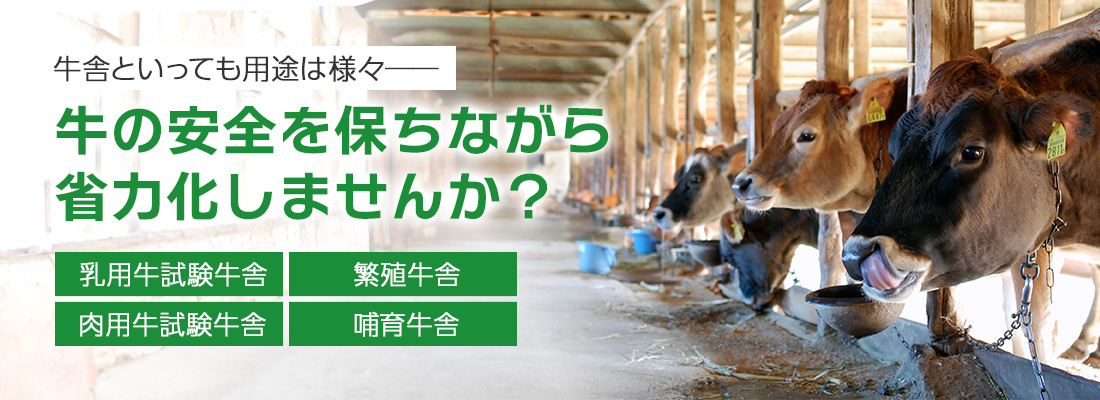 養牛DXがはじまりました