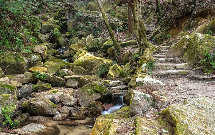 山中