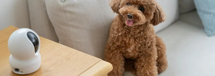 小型防犯カメラのメリット