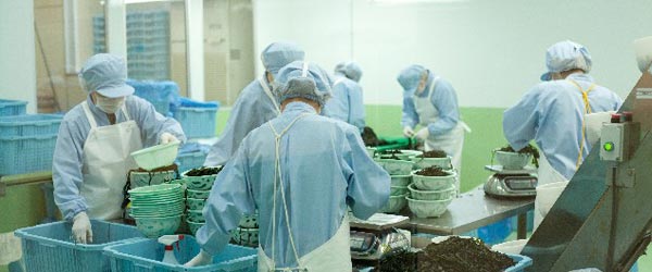 防犯カメラコラム工場_異物混入のトップ画像
