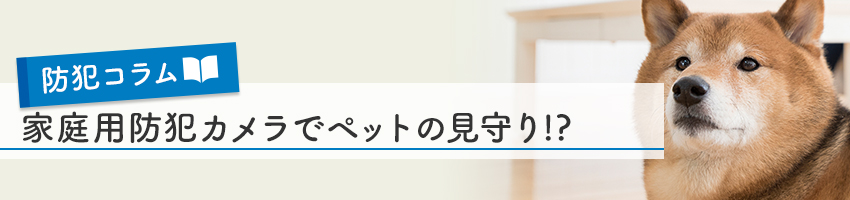家庭用防犯カメラでペットの見守り 一家に一台は当たり前 家庭用 家庭向け防犯カメラの今 防犯カメラ コラム一覧 防犯カメラ 監視カメラ の専門販売店アルコム