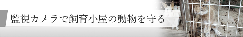 監視カメラで飼育小屋の動物を守る 防犯カメラのお役立ち情報系コラム 防犯カメラ コラム一覧 防犯カメラ 監視カメラの専門販売店アルコム