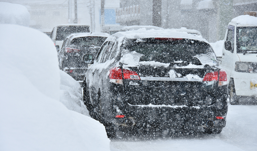 雪の観察に監視カメラ