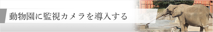 動物園に監視カメラを導入する