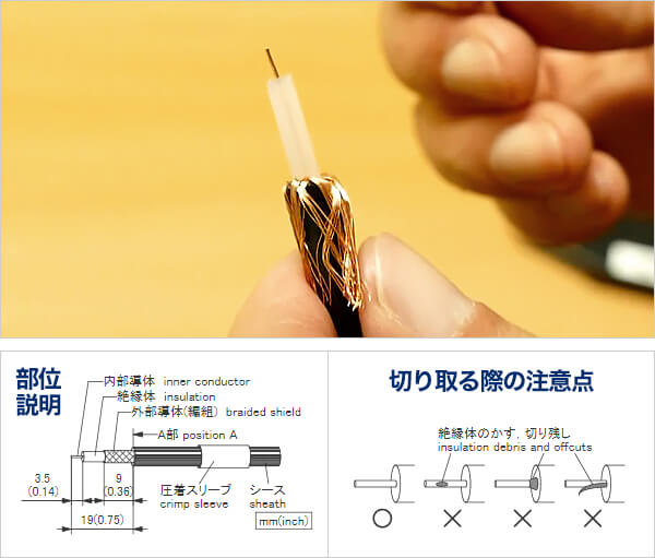 切り取っていく