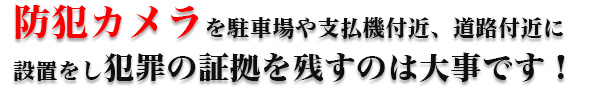 防犯カメラを学校の出入り口や通学路に設置をし犯罪を未然に防ぐ力が必要です!