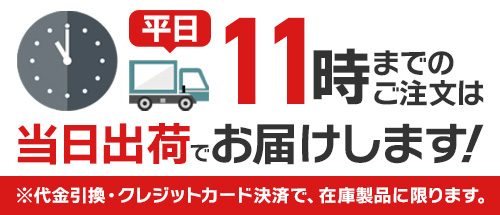 11時までで即納