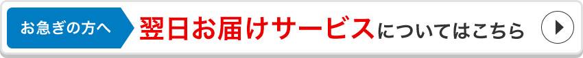 お急ぎの方へ！翌日お届けサービスの詳細はコチラ